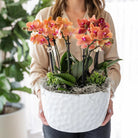 Hummingbird Orchids | orange plant set in Honey dish incl. water reservoir | three orange orchids Bolzano 9cm and three green plants | Jungle Bouquet orange with self-sufficient water reservoir by Kolibri Company