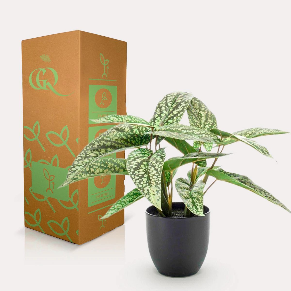 Kunstpflanze – Calathea Dots – Schattenpflanze – 38 cm von Green boutiQ