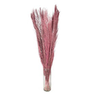 Trockenblumen 100 cm (15) von Clayre & Eef.