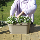 Campanula Addenda Ambella Intense Purple – Balkoneimer Weiß mit 3 Stück Campanula, Topfgröße 12 cm – inkl. Aufhängesystem – Glockenblume Purple – Stauden – Gartenpflanzen von Kolibri Company
