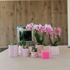 Hummingbird Home | Candy decorative pot | High - Pink - Ø6cm by Kolibri Company