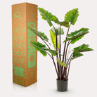 Art plant - Colocasia Pink China - Elephants ear - 130 cm by Green boutiQ