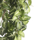 Artificial hanging plant Fittonia Green by Mica Decorations
