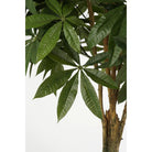 Artificial plant Pachira Green by Mica Decorations