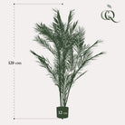 Art plant - Chamaedorea Elegans - Bergpalm - 120 cm by Green boutiQ
