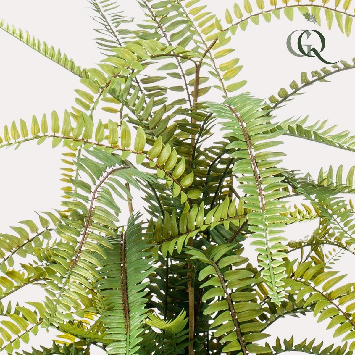 Künstliche Pflanze – Nephrolepis Exaltata – Bostonfarn – 70 cm von Green boutiQ