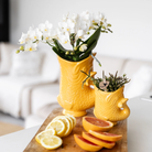 Kolibri Orchids | Witte orchidee 'Nazaré' + Fish pot oranje - potmaat Ø9cm | bloeiende kamerplant - vers van de kweker by Kolibri Company