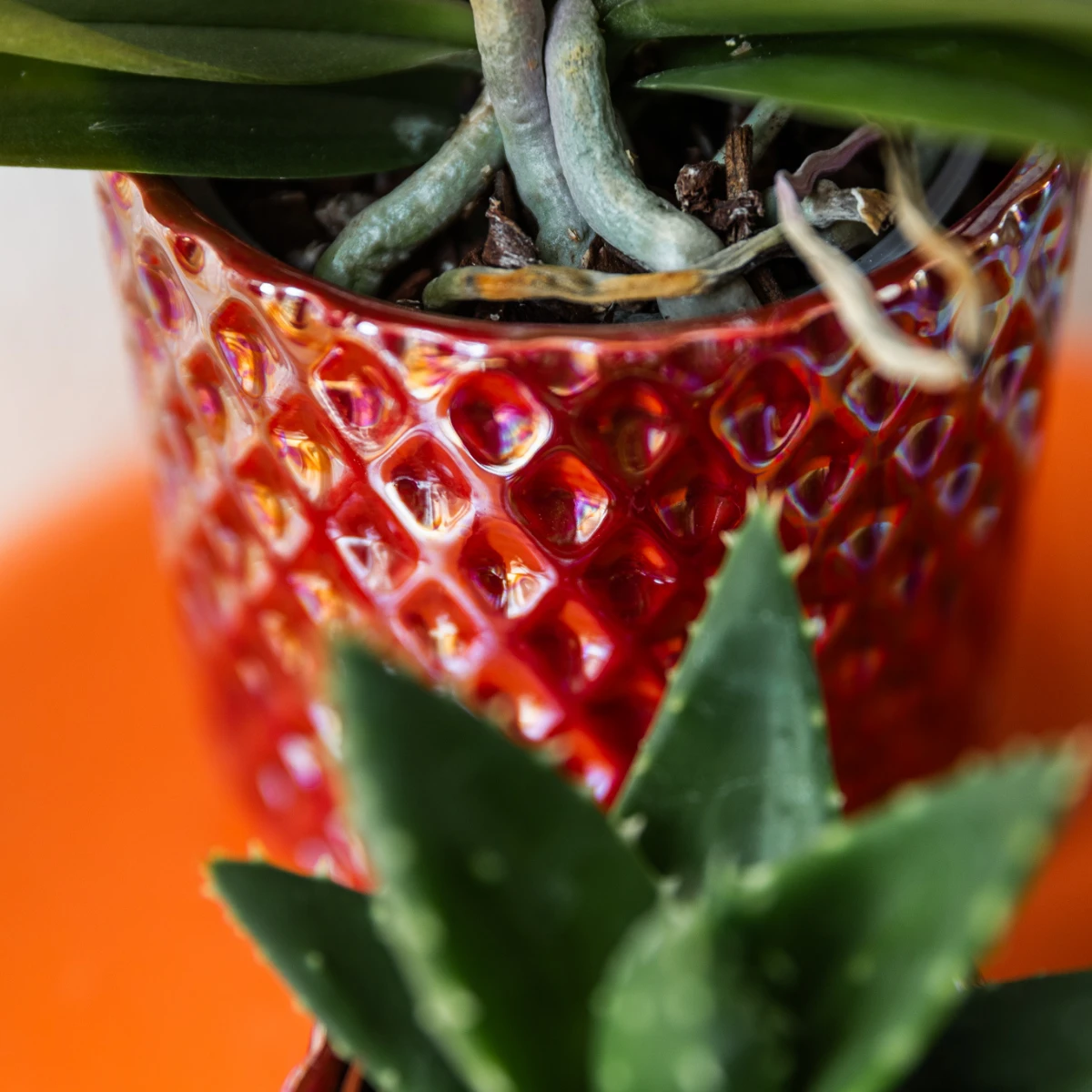 Kolibri Home | Diamond pearl sierpot - Red - Ø9cm by Kolibri Company