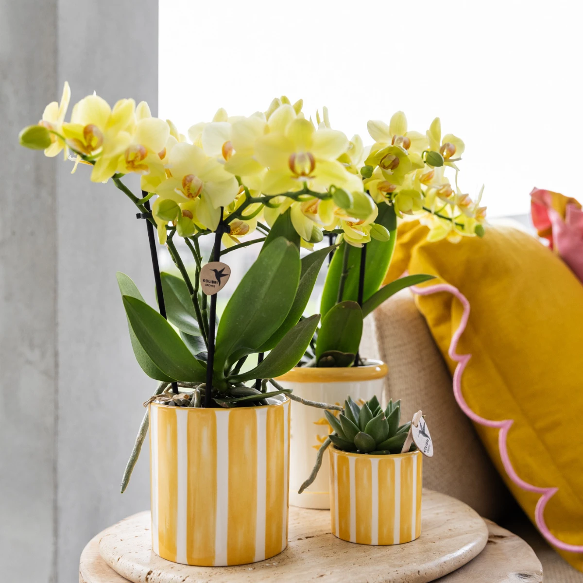 Hummingbird Home | Painted stripe - Yellow - Ø6cm by Kolibri Company