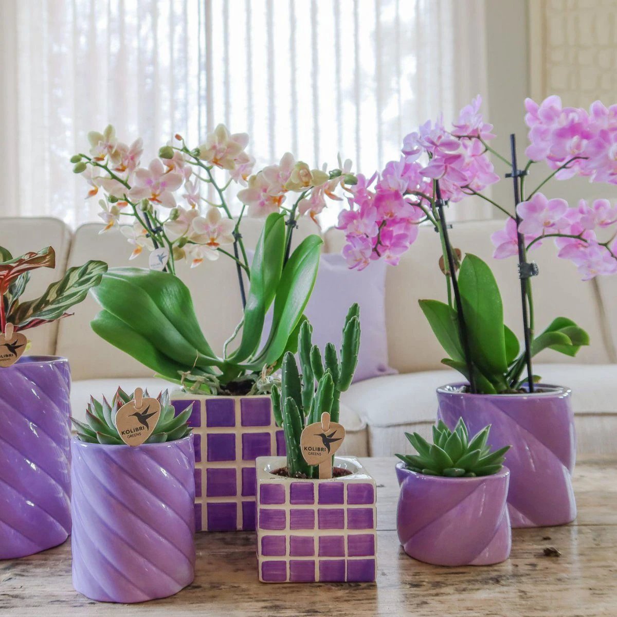 Kolibri Home | Candy sierpot - Lilac - Ø9cm by Kolibri Company