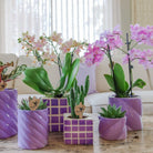 Kolibri Home | Candy sierpot - Lilac - Ø9cm by Kolibri Company