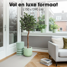 Artificial plant Ficus Green by Mica Decorations