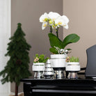 Hummingbird Home | Le Chic flower pot - White ceramic decorative pot with silver details - Ø9cm by Kolibri Company