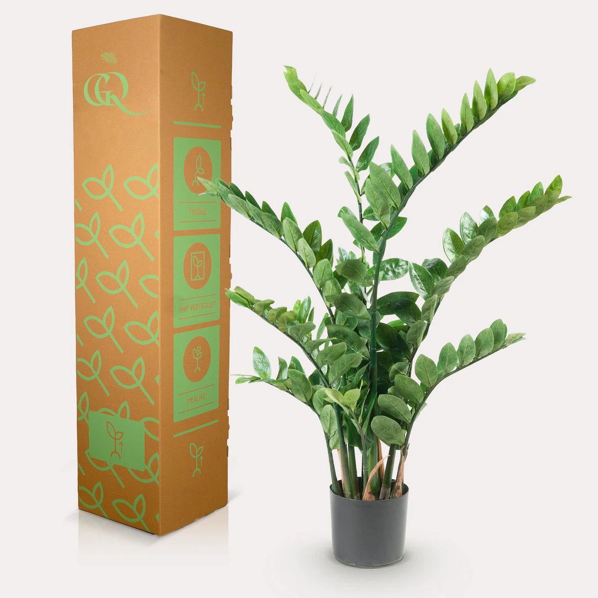 Artificial plant - Zamioculcas - City palm - 110 cm by Green boutiQ