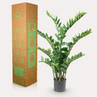 Artificial plant - Zamioculcas - City palm - 110 cm by Green boutiQ