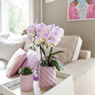 Hummingbird Home | Candy decorative pot | High - Pink - Ø6cm by Kolibri Company