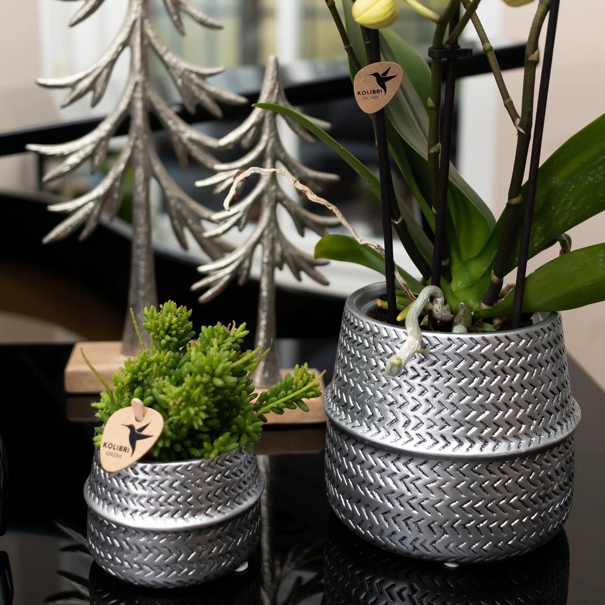 Kolibri Home | Groove Flowerpot - Silver Ceramic Sierpot - Ø9cm by Kolibri Company