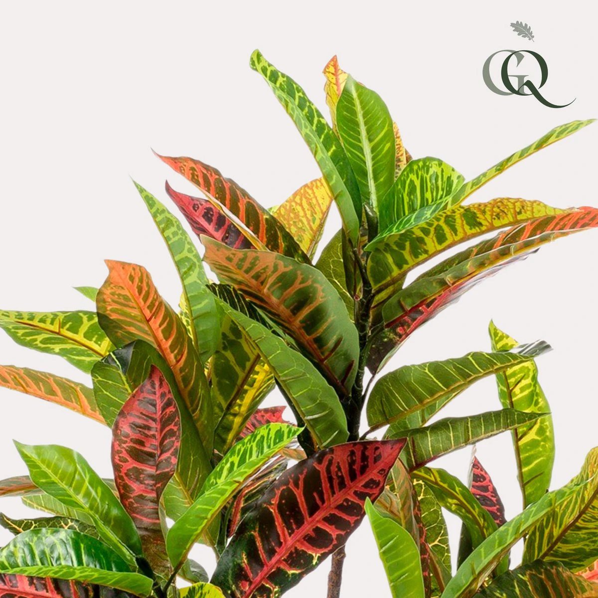 Artificial plant - Croton Codiaeum - Wonderbush - 95 cm by Green boutiQ