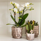 Kolibri Home | Marble pot - Dark - Ø6cm by Kolibri Company