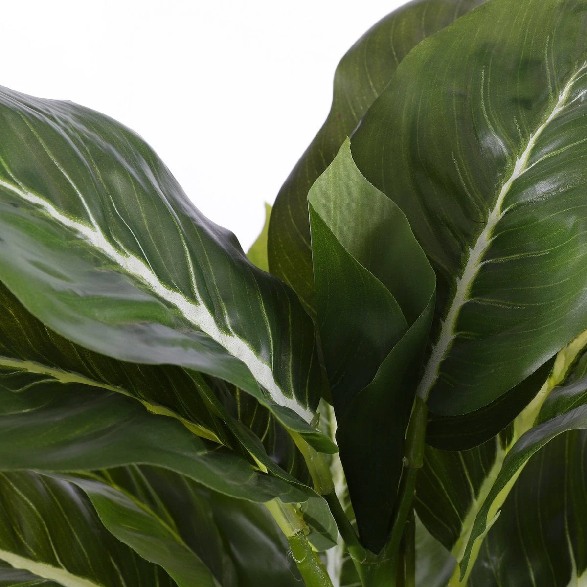 Artificial plant Evergreen Green by Mica Decorations