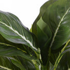 Artificial plant Evergreen Green by Mica Decorations