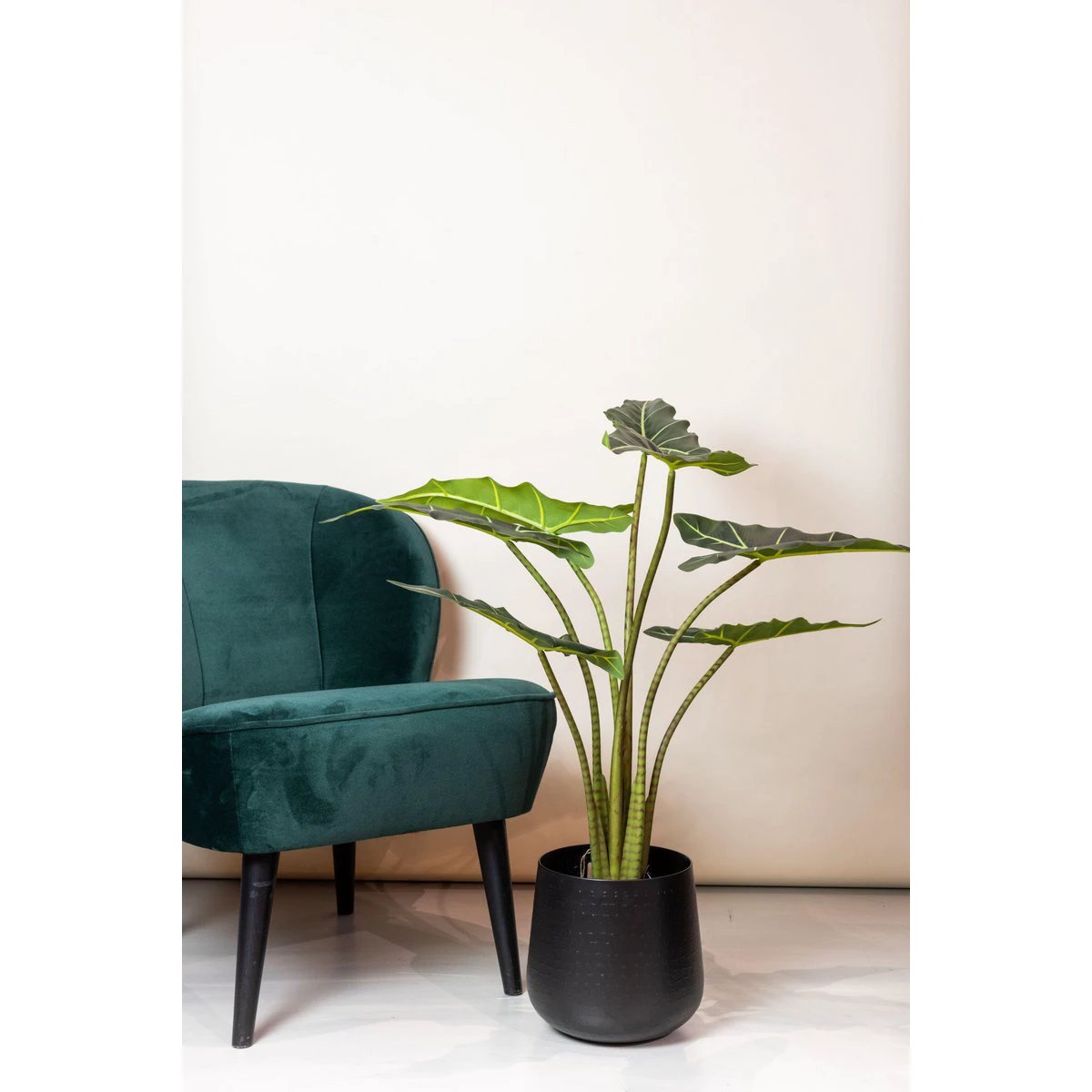Kunstpflanze – Alocasia Frydek – Elefantenohr – 100 cm von Green boutiQ