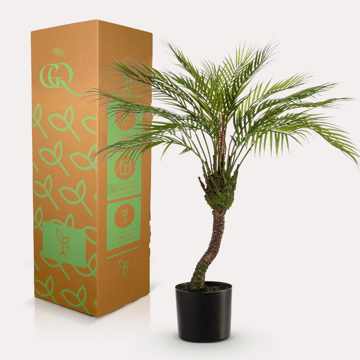 Art plant - Chamaedorea - Bergpalm - 85 cm by Green boutiQ