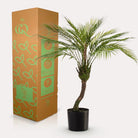 Art plant - Chamaedorea - Bergpalm - 85 cm by Green boutiQ