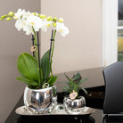 Kolibri Home | Plate oval - Ovale dienblad Ø30cm - Silver by Kolibri Company