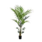 Art plant - Kentia -Kentiapalm - 180 cm by Green boutiQ