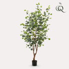 Artificial plant - Eucalyptus - Blue Gum tree - 140 cm by Green boutiQ