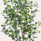 Artificial plant - Eucalyptus - Blue Gum Tree - 180 cm by Green boutiQ