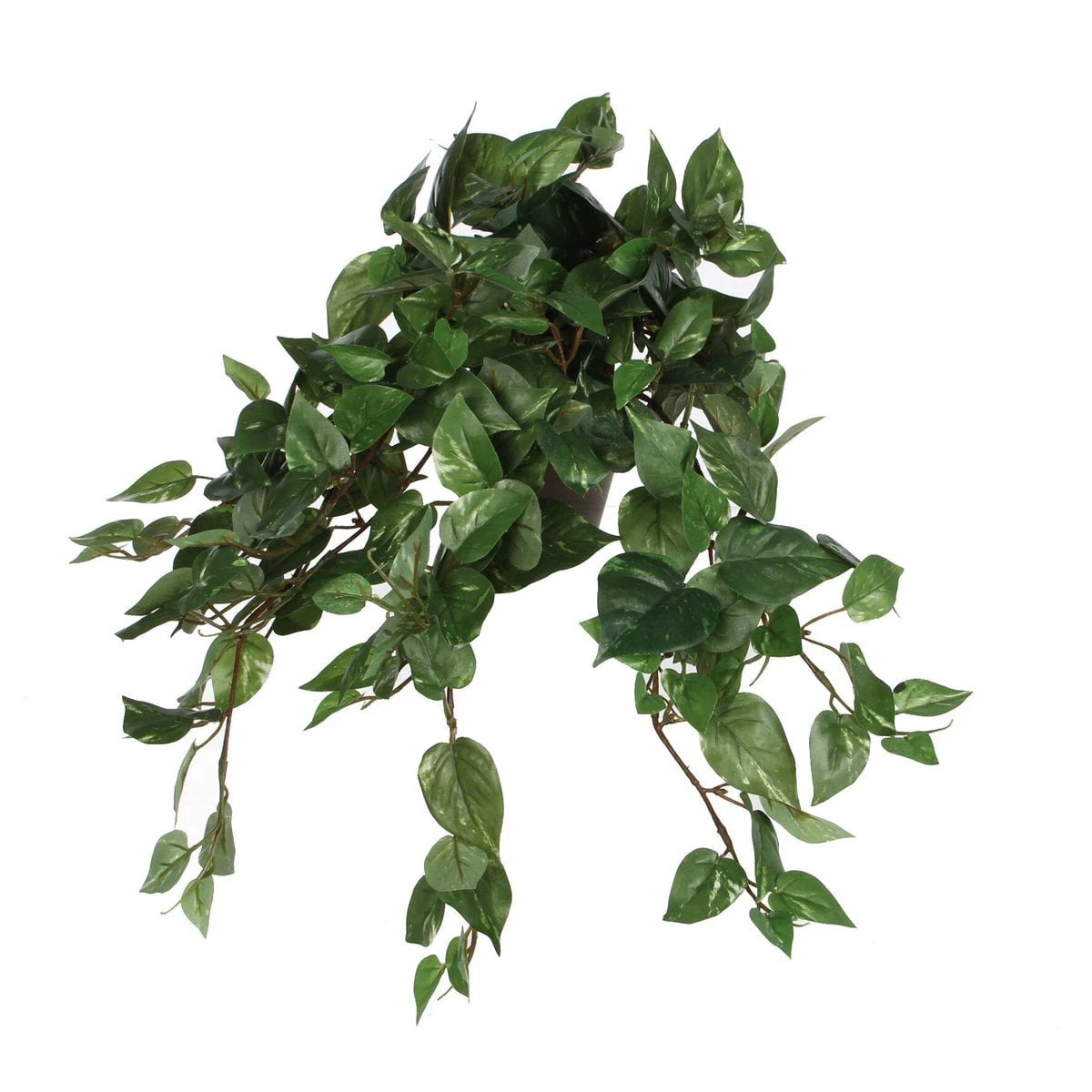 Artificial hanging plant Scindapsus hanging Green by Mica Decorations