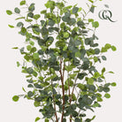 Artificial plant - Eucalyptus - Blue Gum tree - 140 cm by Green boutiQ