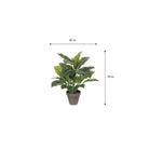 Artificial plant Evergreen Green by Mica Decorations