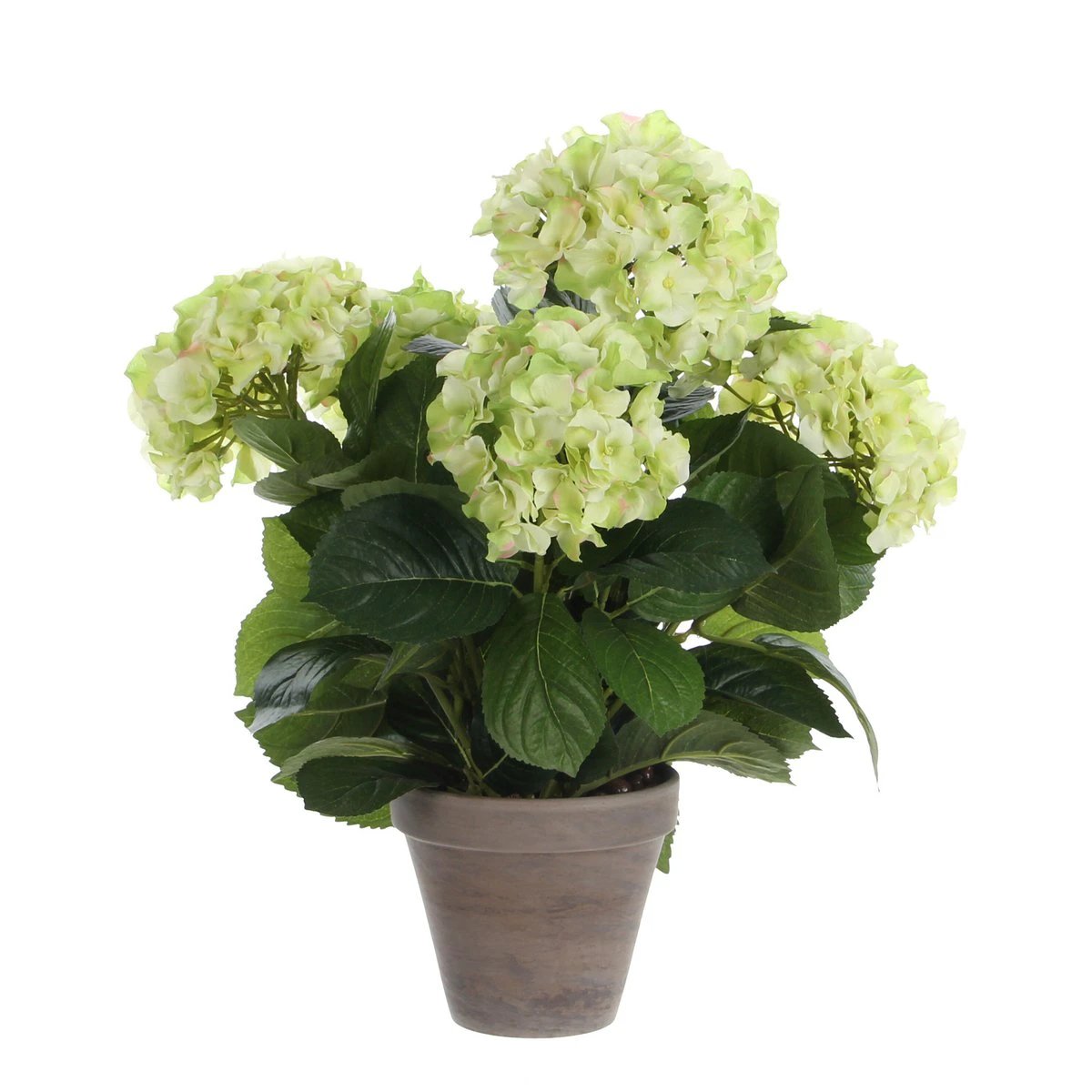 Art plant Hyddongea Creme by Mica Decorations
