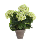 Art plant Hyddongea Creme by Mica Decorations