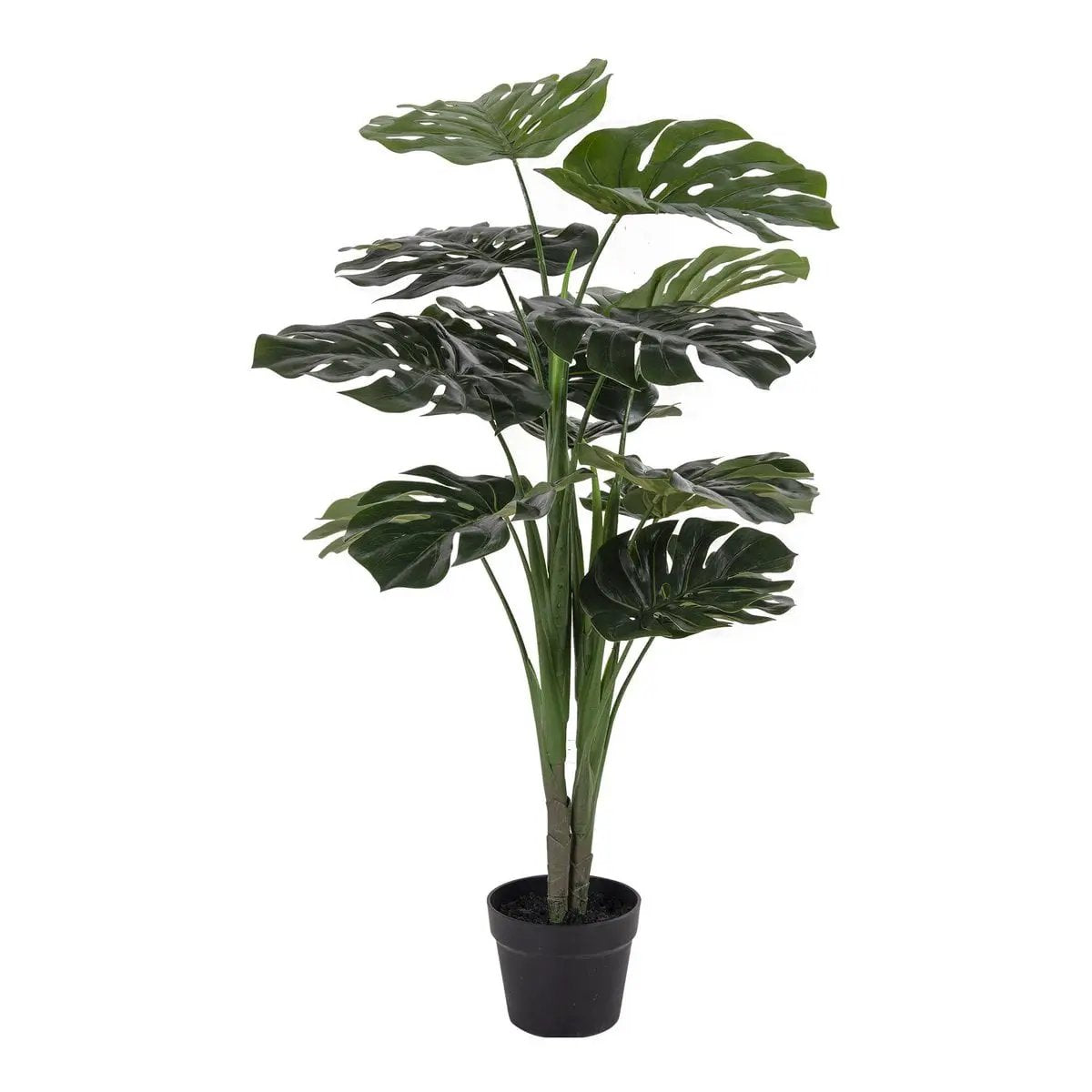 Monstera - Green, PE Plastic/Polyester/Wire/Cement, 17x18x90 cm by EMIRELLE