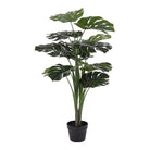 Monstera - Green, PE Plastic/Polyester/Wire/Cement, 17x18x90 cm by EMIRELLE