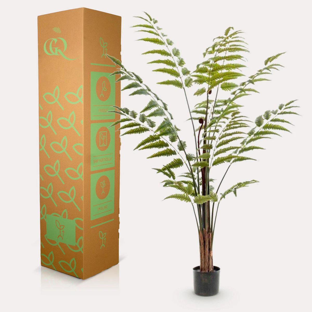 Art Plant - Rumohra Adiantiformis - The Leader Varise - 150 cm by Green boutiQ