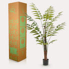 Art Plant - Rumohra Adiantiformis - The Leader Varise - 150 cm by Green boutiQ