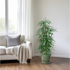 Ficus Binnendijkii 'Alii' (Hydro) - Ø18 cm - ↕110 cm von MEERgroothandel Planten