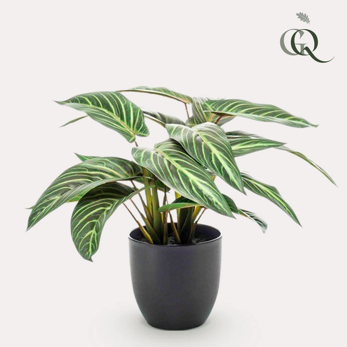 Künstliche Pflanze – Calathea Zebrina – Schattenpflanze – 38 cm von Green boutiQ