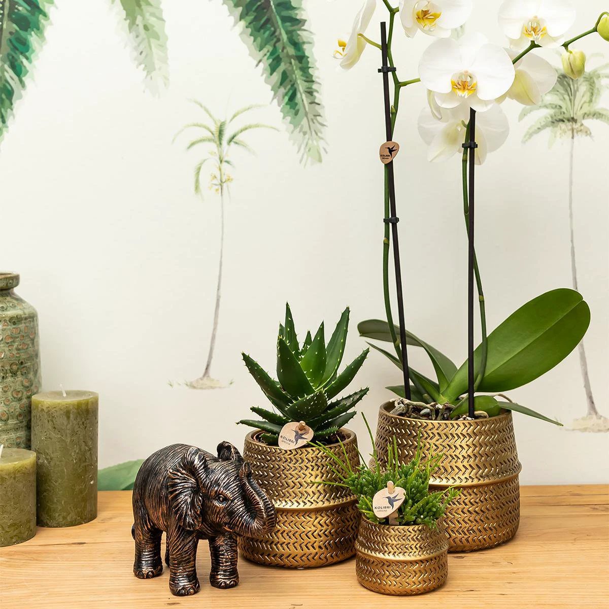 Kolibri Home | Groove Flowerpot - Golden Ceramic Sierpot - Pot size - Ø12cm by Kolibri Company