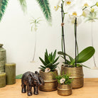 Kolibri Home | Groove Flowerpot - Golden Ceramic Sierpot - Pot size - Ø12cm by Kolibri Company