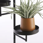 Wall rack Perry Black by Mica Decorations