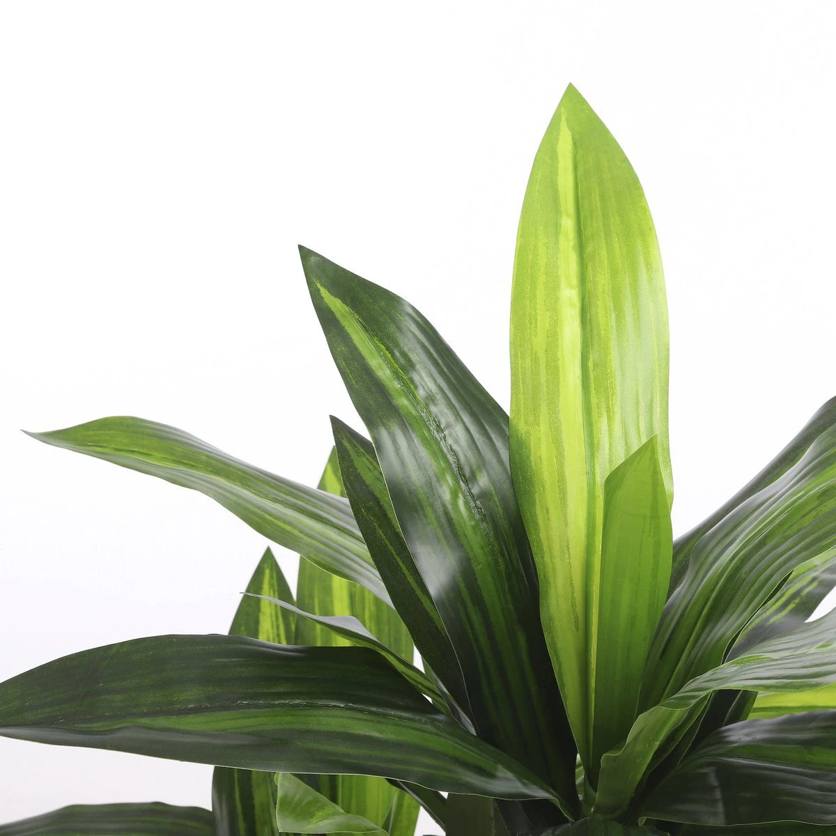 Artificial plant Dracaena Green by Mica Decorations