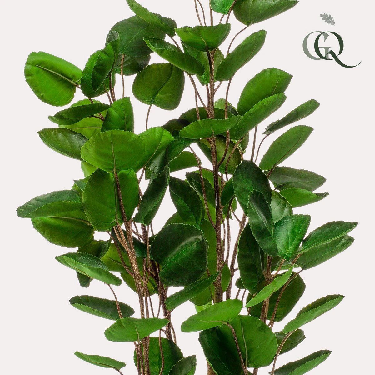 Kunstplant - Polyscias - Aralia - 105 cm by Green boutiQ