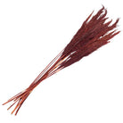 Dried flowers bamboo 100 cm (10) by Clayre & Eef.