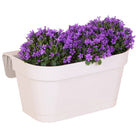 Campanula Addenda Ambella Intensiv Violett – Balkon-Eimer Weiß mit 3 Stück Campanula Topfgröße 12 cm – inkl. Aufhängesystem – Klokjesbloem Violett – Stauden – Gartenpflanzen von Kolibri Company